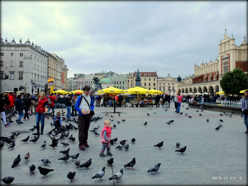 Crónicas  Polacas VI: Un día en Cracovia 5