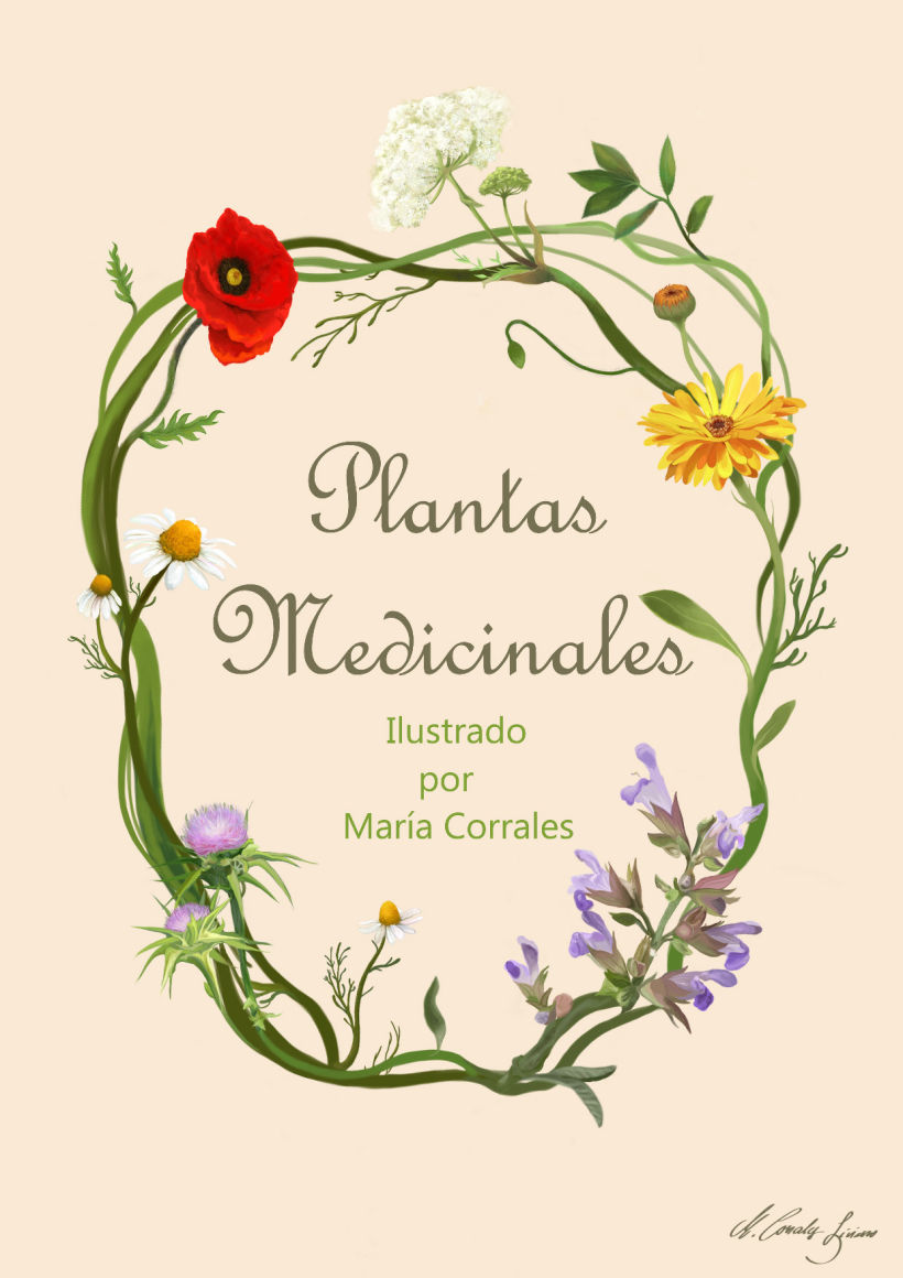 Plantas medicinales 0