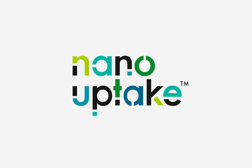 Nanouptake 0