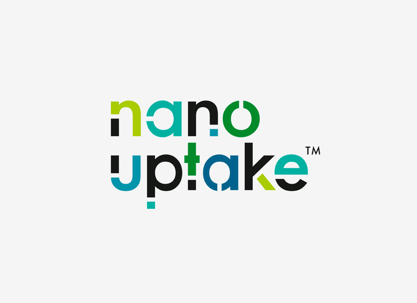 Nanouptake 5