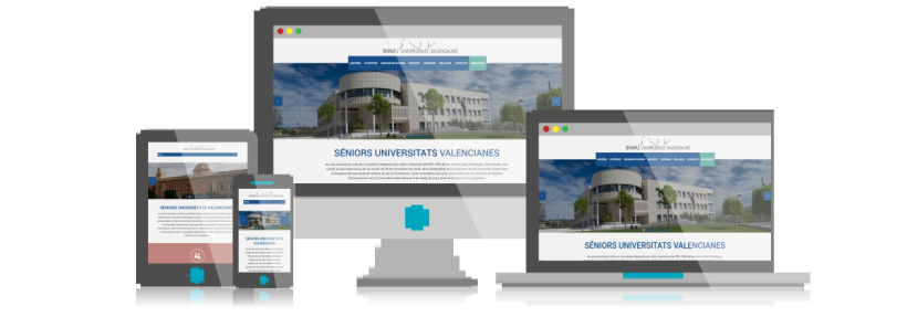 Desarrollo y Diseño Web Senior Universitats Valencianes 0