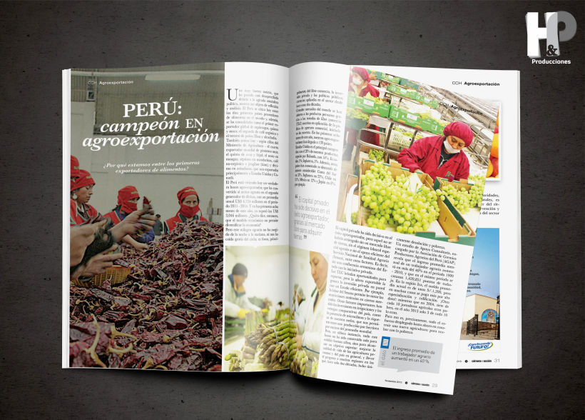 Revista de la Cámara de Comercio de Huacho 2015 8