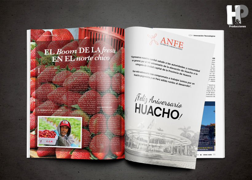 Revista de la Cámara de Comercio de Huacho 2015 9