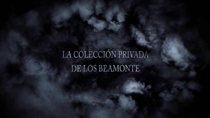 Diseño de Vídeo- After Effects - Premiere - Photoshop - "Beamonte" Internet Promo 2