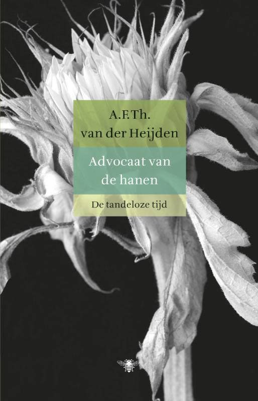 Book Covers Holanda 4
