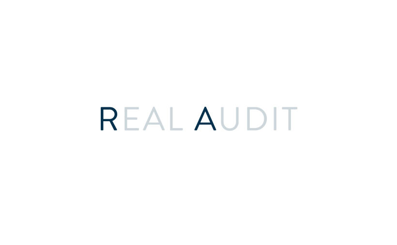 Real Audit 3