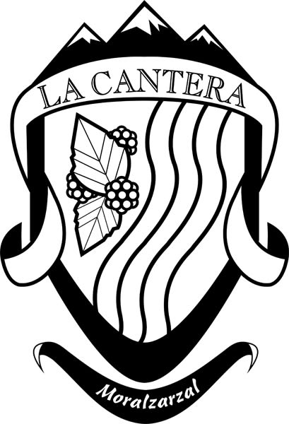 Logotipo Club Dpt. La Cantera 3