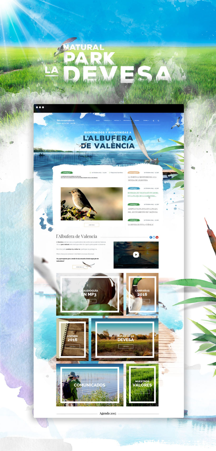 Diseño website - Parque Natural Devesa / Albufera - Ayuntamiento de Valencia 0