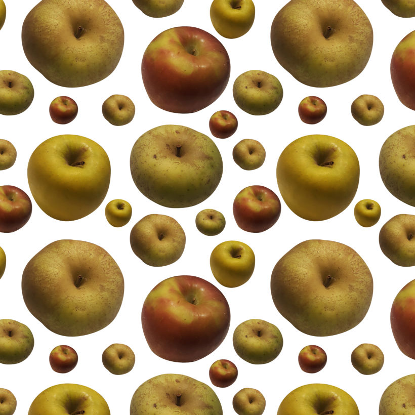 Pattern manzanas -1