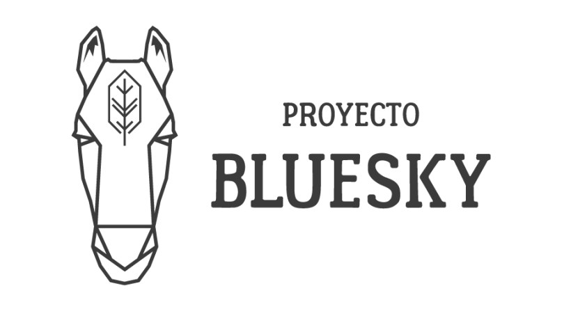 Proyecto Bluesky 0