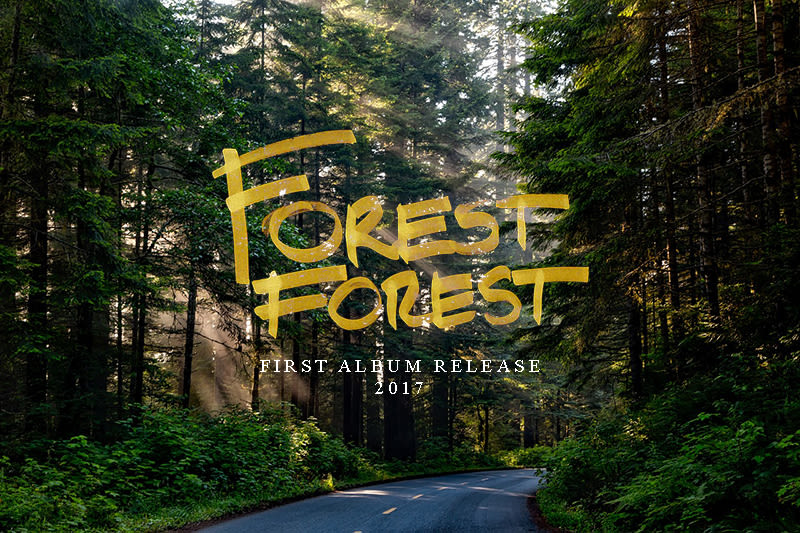 Forest Forest Mx Wallpaper 1