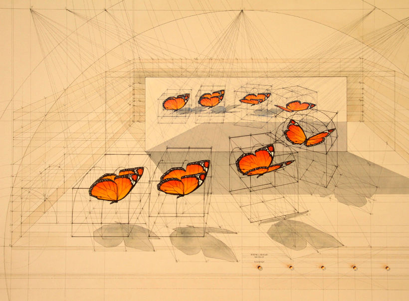 Rafael Araujo, ilustraciones matemáticamente perfectas 19