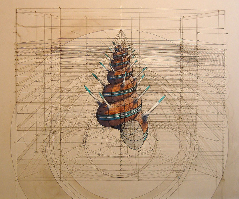 Rafael Araujo, ilustraciones matemáticamente perfectas 20