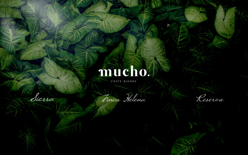 Mucho. Coffee Blends 6