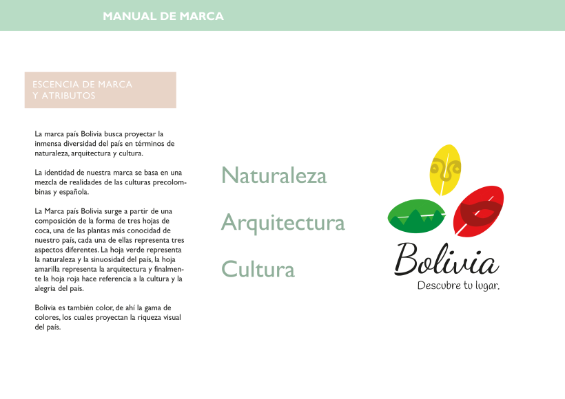 Proyecto Bolivia 9
