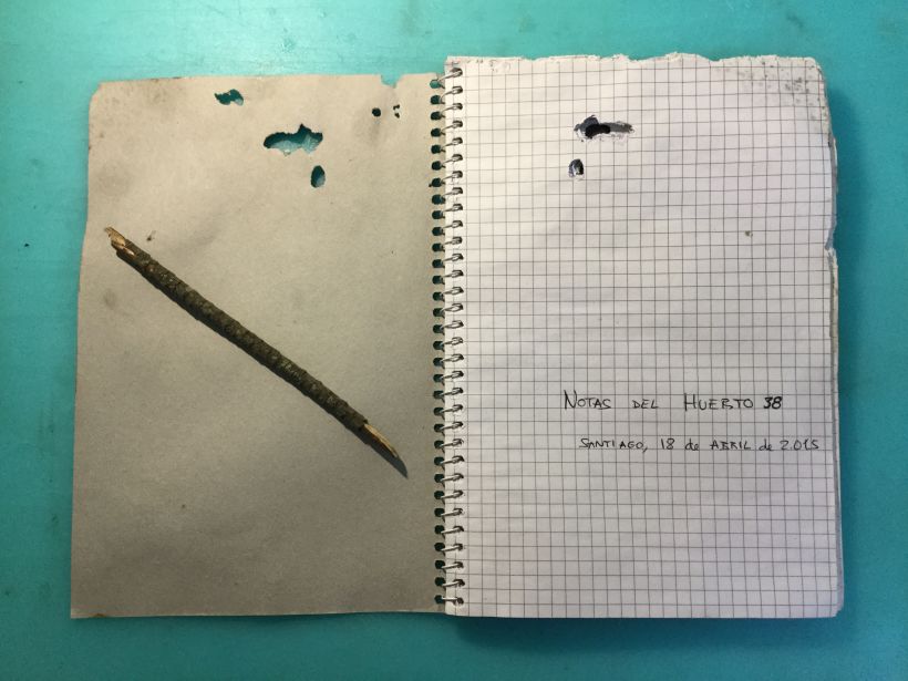 Mi Proyecto del curso: "Cuaderno del huerto" 0