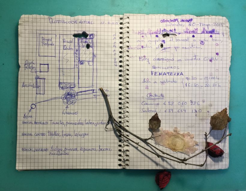 Mi Proyecto del curso: "Cuaderno del huerto" 2