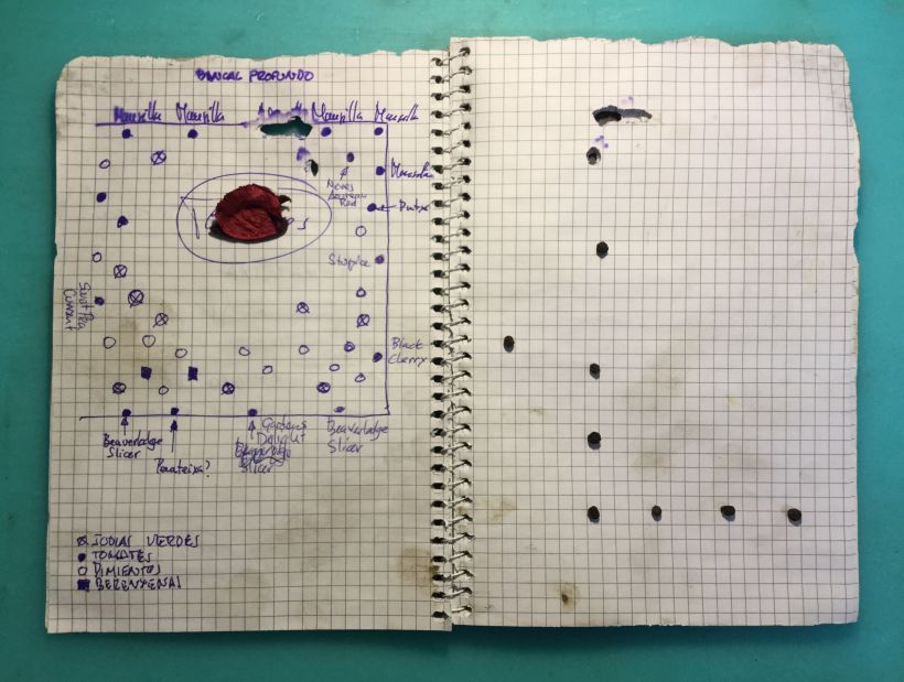 Mi Proyecto del curso: "Cuaderno del huerto" 3