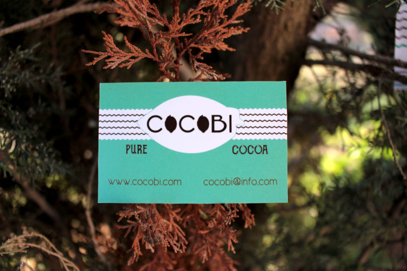 Proyecto de Identidad visual: COCOBI 2