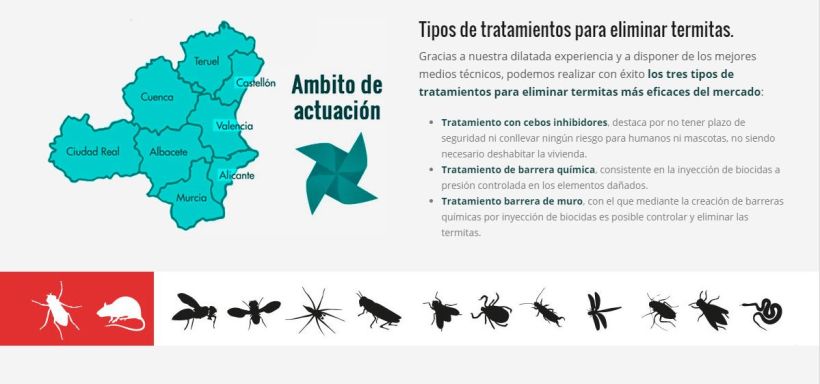 Tratamiento y eliminación de termitas Valencia | Tratamiento y eliminación de termitas Alicante 1