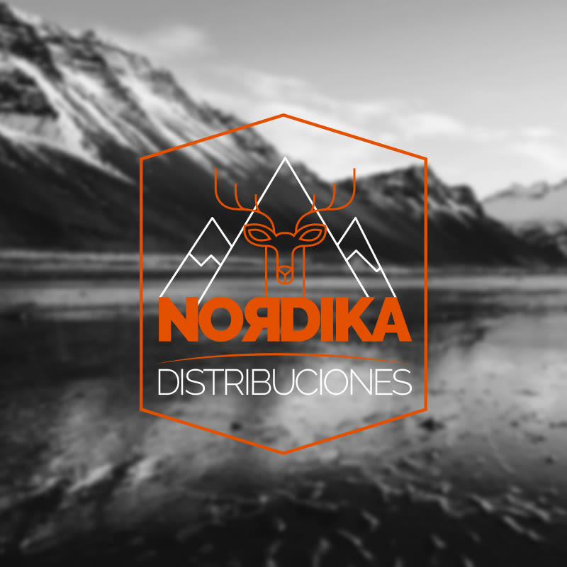 Nordika Identidad Corporativa y Branding 0