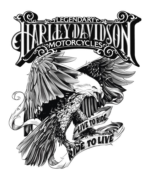 Harley Davidson  1
