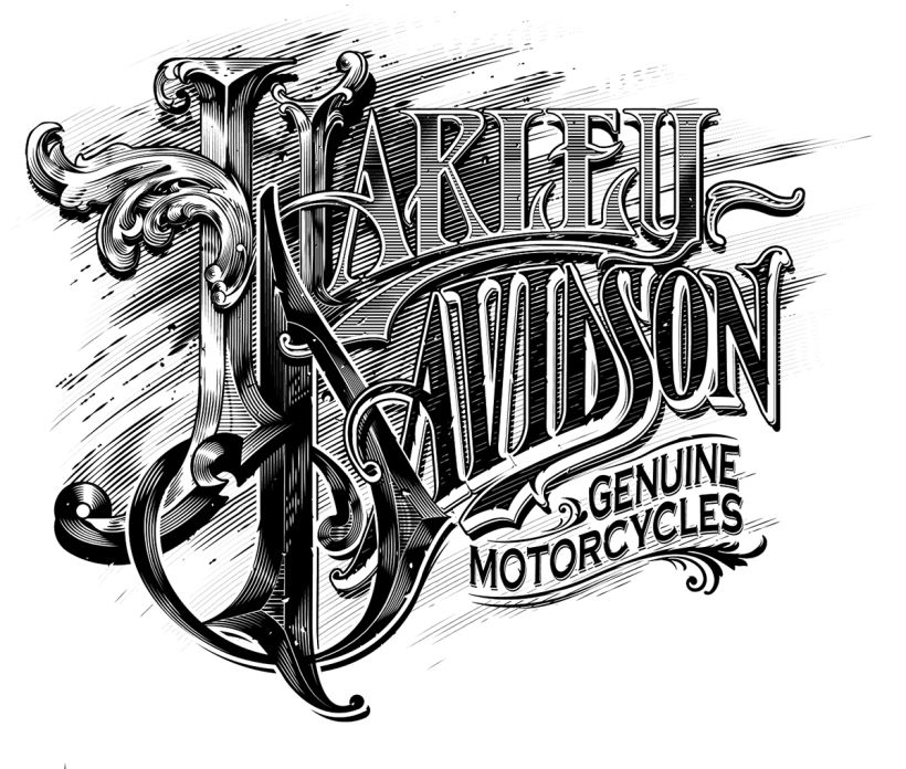 Harley Davidson  2