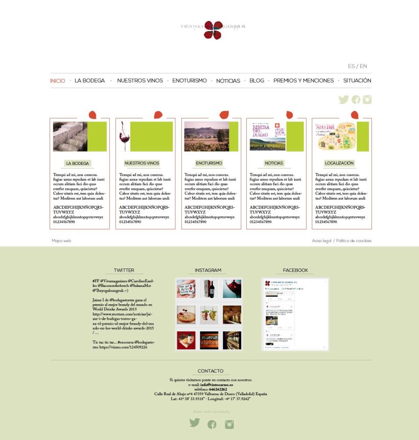 Diseño gráfico web bodegas Carme, Vitivinícola de Valbuena 0
