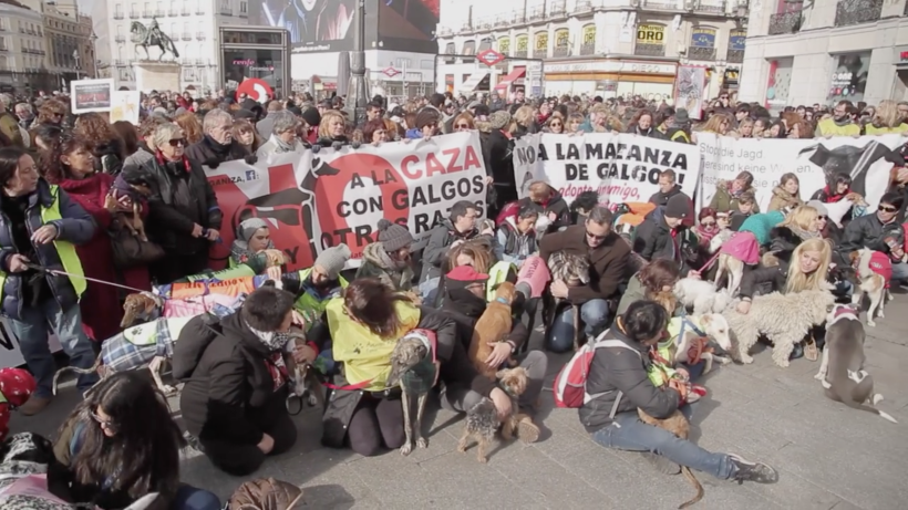Manifestación No a la Caza 5 Febrero 2017 (Madrid)      #NoAlaCaza5F 0