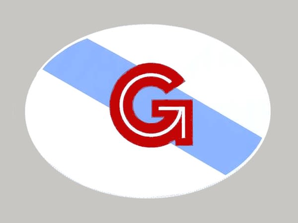 Adesivos para Identidade GZ em placas de automóvel 2