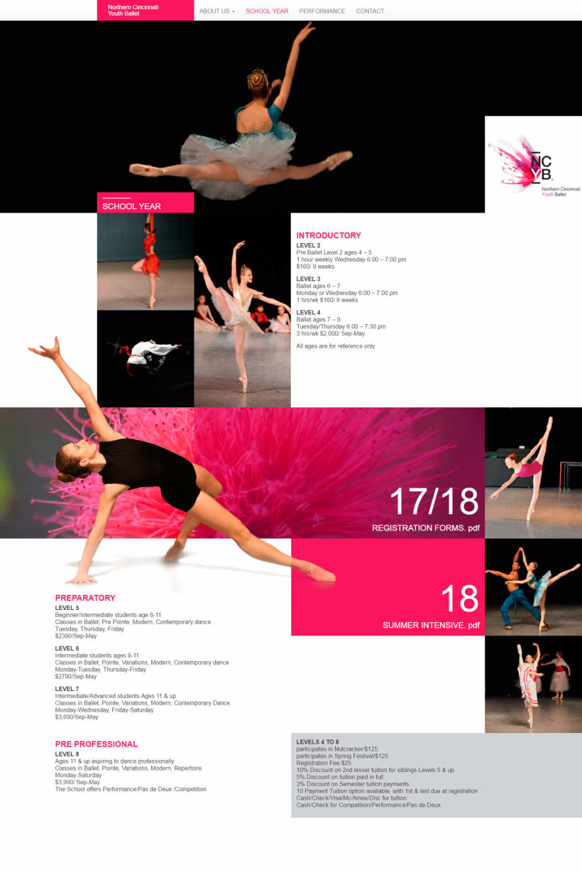 NCYBallet 3