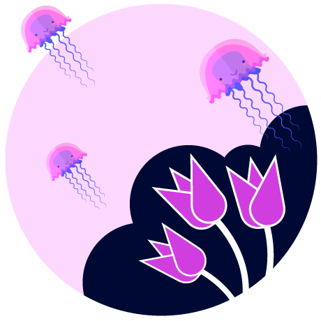 El bosque de las medusas 6