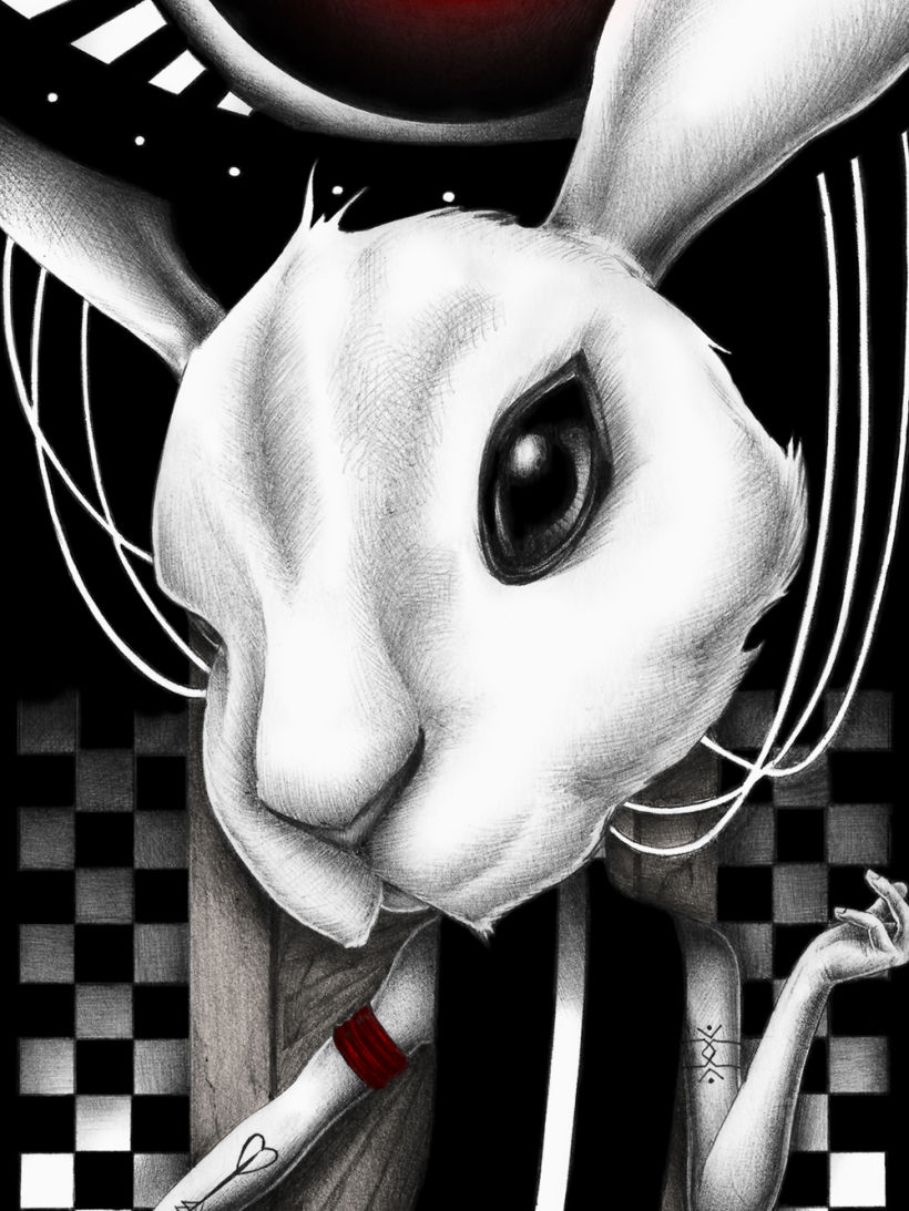 White Rabbit 5