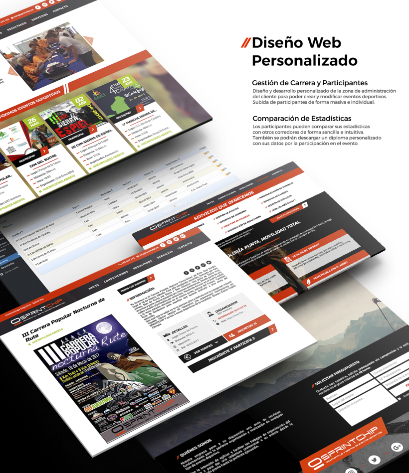 Diseño y desarrollo web - SprintChip 2