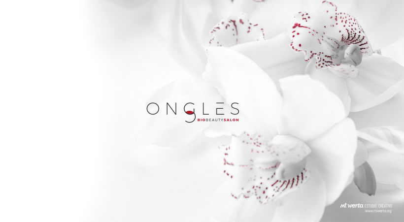 ONGLES 1