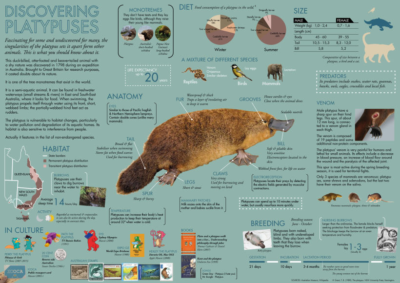 Discovering platypuses -1