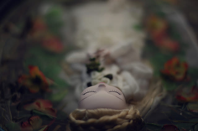 Doll Photography 5