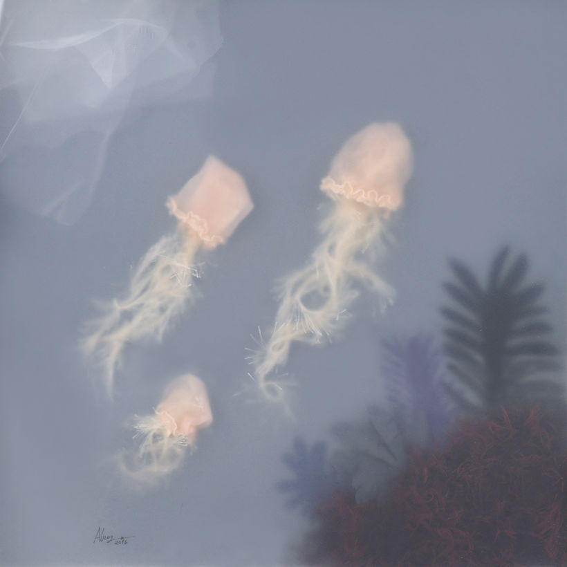 Jellyfish -1