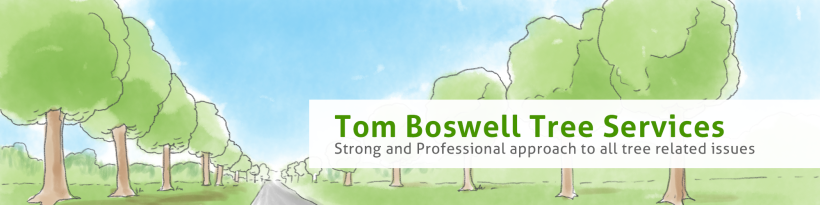 Tom Boswell Tree Services - Diseño web, ilustración, gestión y creación de contenidos. 1