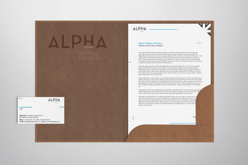 Alpha Holding Company 10