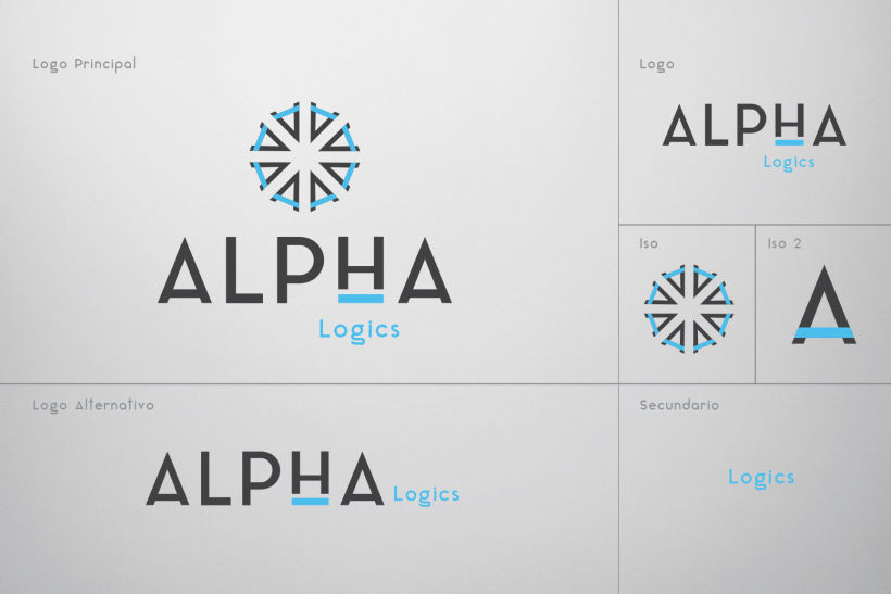 Alpha Holding Company 11
