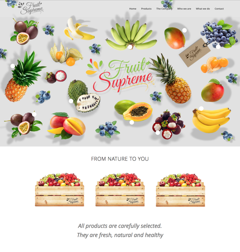 Fruit Supreme - Branding  - Web 0