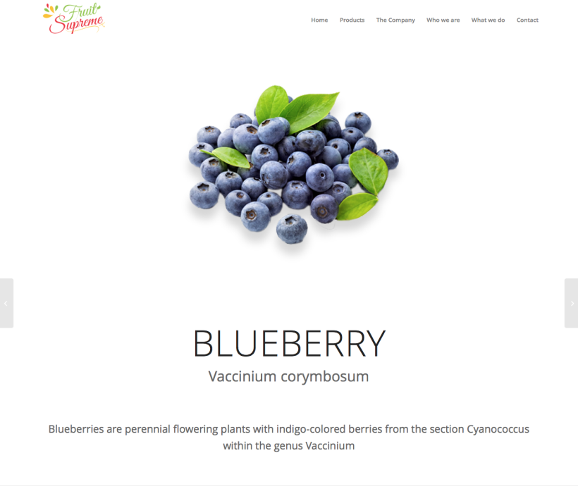 Fruit Supreme - Branding  - Web 1