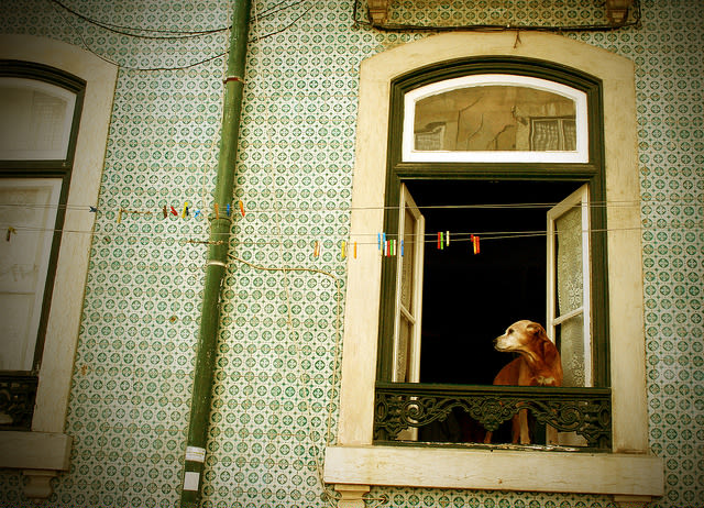 Lisboa - Fotografía 3