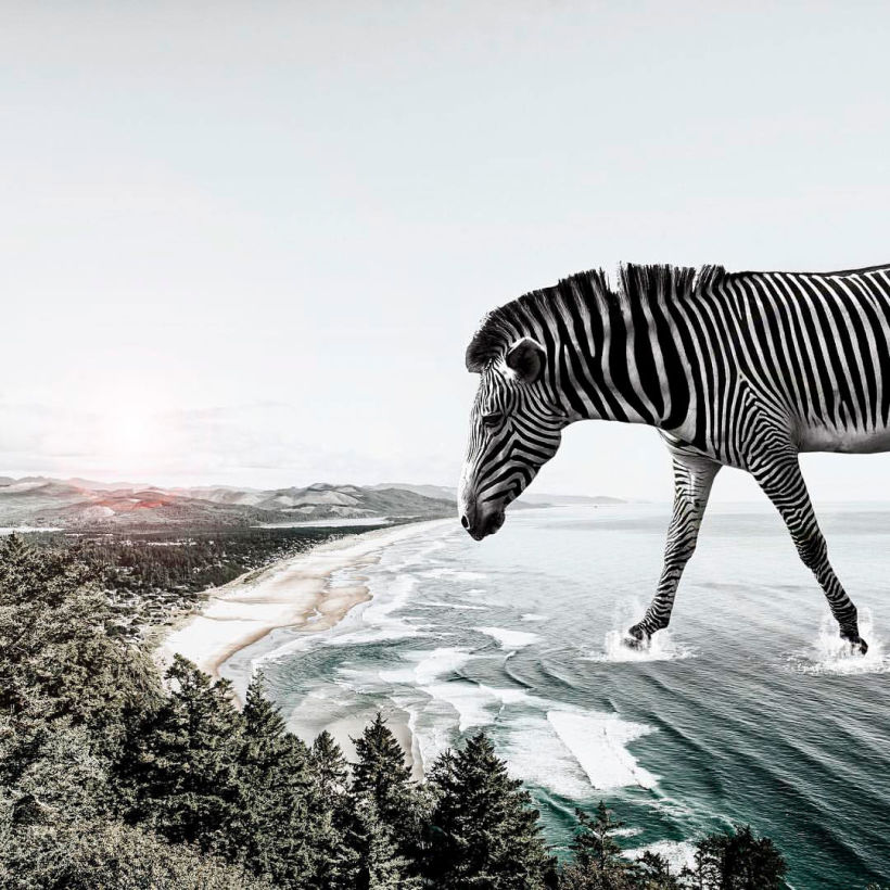 Karen Cantuq reinventa la naturaleza con sus collages fotorrealistas 9