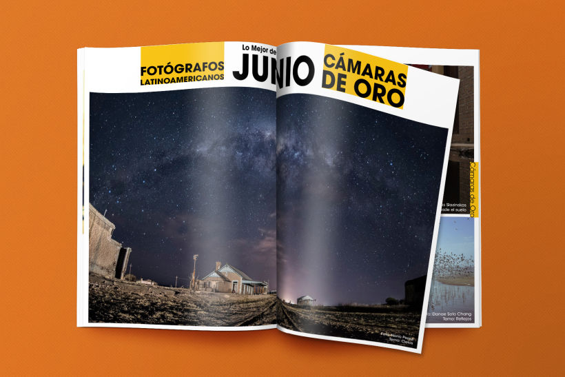 Editorial/Revista digital Fotógrafos Latinoamericanos  2