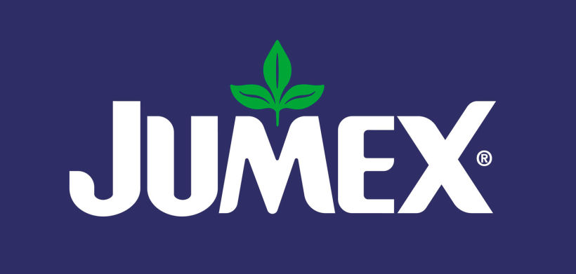 Los logotipos más emblemáticos de México 4