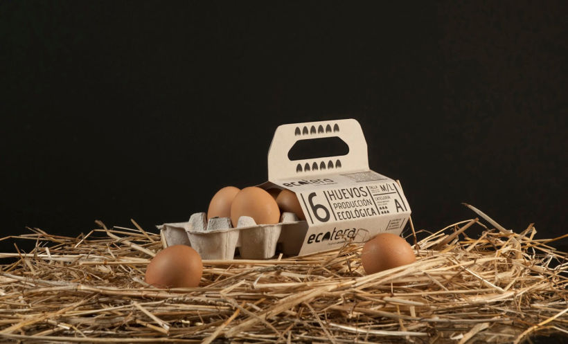 10 diseños de packaging con muchos huevos 10