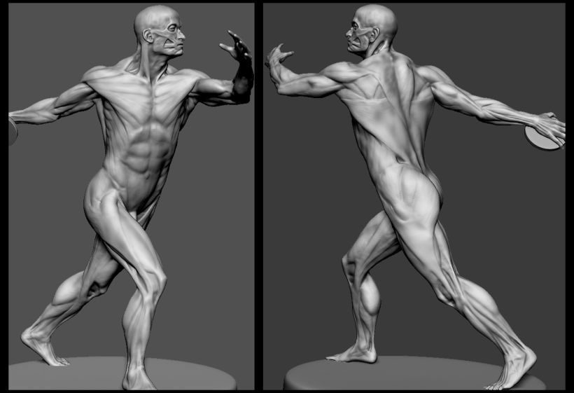 Modelado anatomia 0