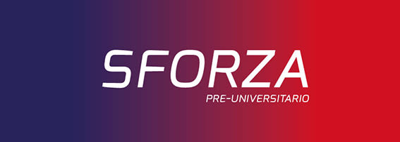 Sforza | Branding 2